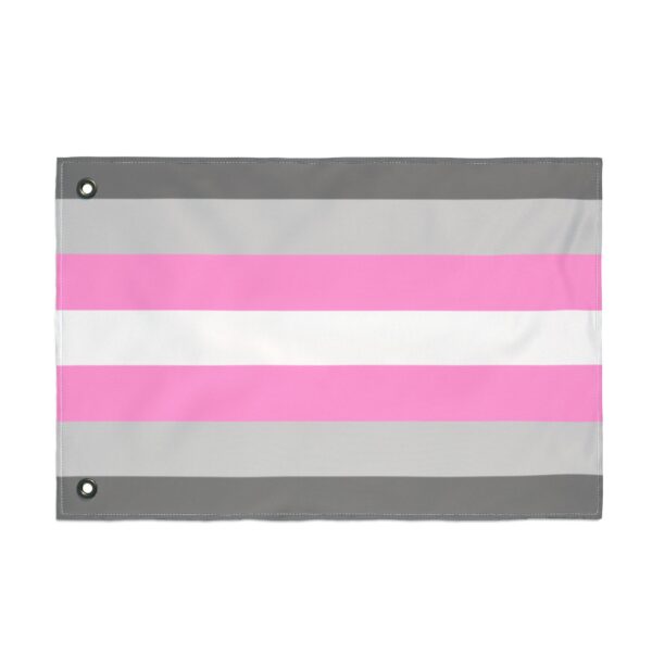 Demigirl Pride Flag Double Sided 3x5 | Gender Identity LGBTQ Outdoor Flag
