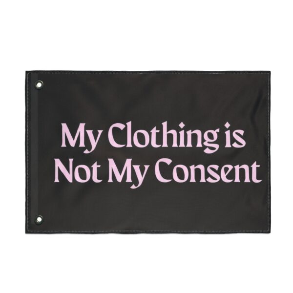 My Clothing Is Not My Consent Feminist Protest 3x5 Flag Double Sided Pink Black Womens Rights Pride Banner