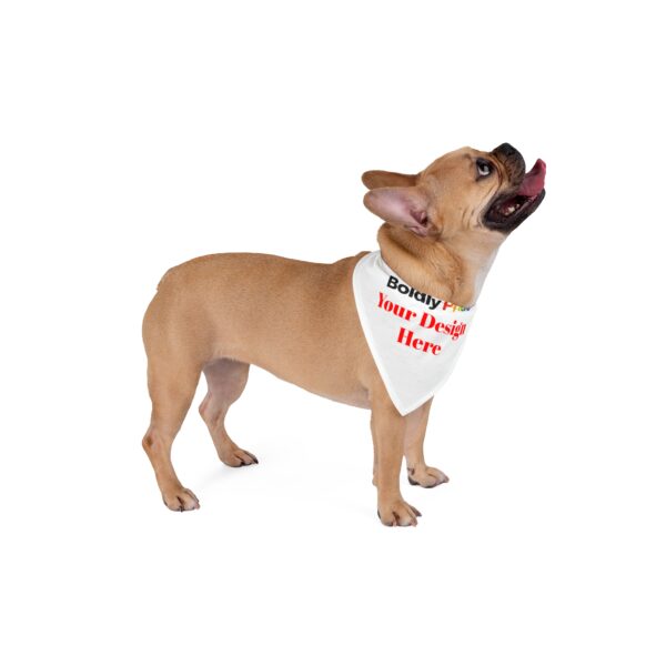 Dog wearing a custom pet bandana that reads “Pride Your Design Here” in bold text, showing where a Pride or festival design will be printed.